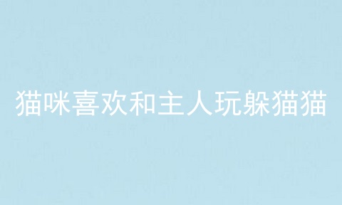 猫咪喜欢和主人玩躲猫猫