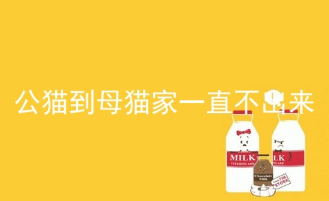 公猫到母猫家一直不出来