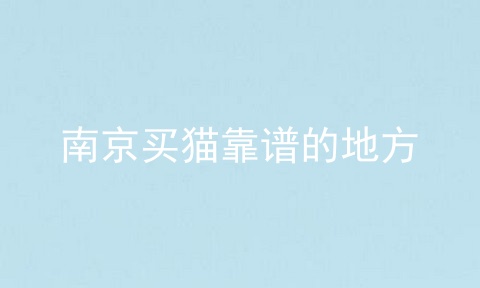 南京买猫靠谱的地方
