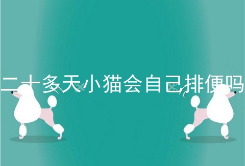 二十多天小猫会自己排便吗