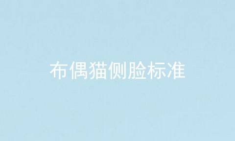 布偶猫侧脸标准