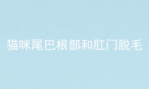 猫咪尾巴根部和肛门脱毛