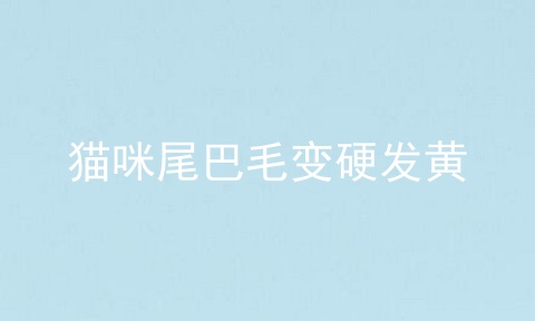 猫咪尾巴毛变硬发黄
