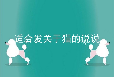 适合发关于猫的说说