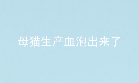 母猫生产血泡出来了