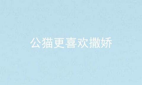 公猫更喜欢撒娇