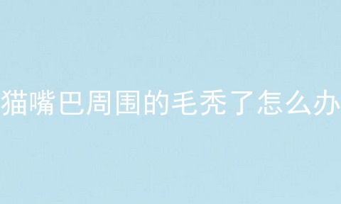 猫嘴巴周围的毛秃了怎么办
