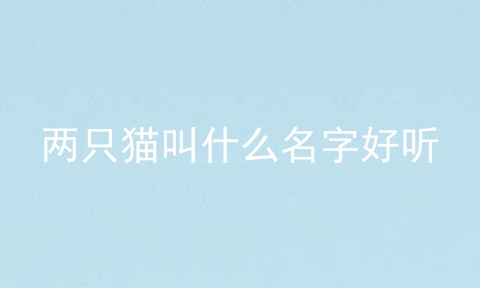 两只猫叫什么名字好听