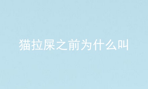 猫拉屎之前为什么叫