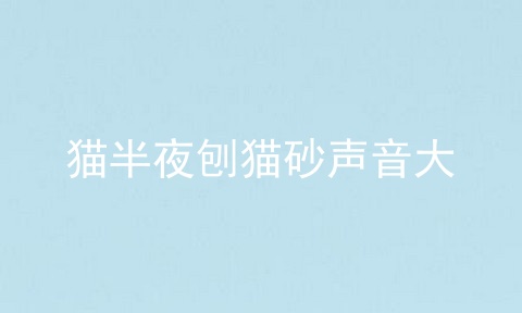 猫半夜刨猫砂声音大