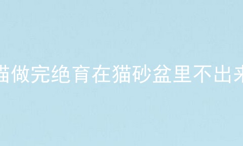 猫做完绝育在猫砂盆里不出来