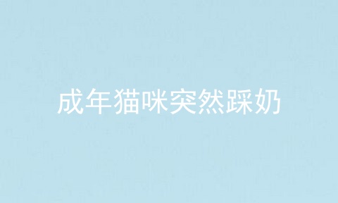 成年猫咪突然踩奶