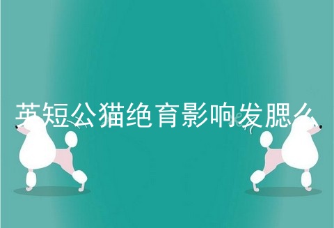 <a href=/cat/13.html target=_blank class=infotextkey>英短</a>公猫绝育影响发腮么