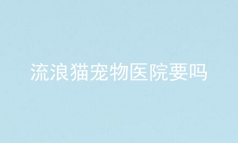 流浪猫宠物医院要吗