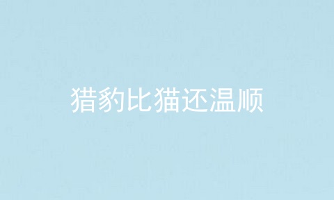 猎豹比猫还温顺
