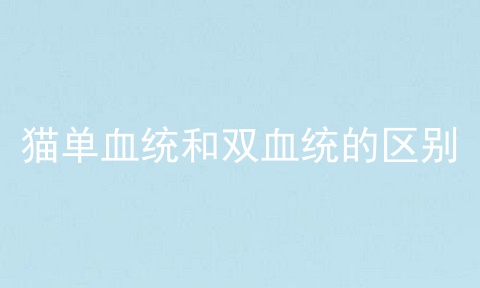 猫单血统和双血统的区别