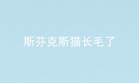 斯芬克斯猫长毛了