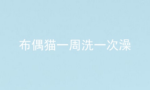布偶猫一周洗一次澡