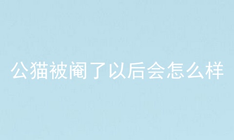 公猫被阉了以后会怎么样