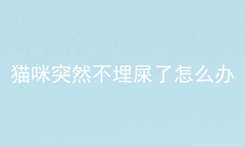 猫咪突然不埋屎了怎么办