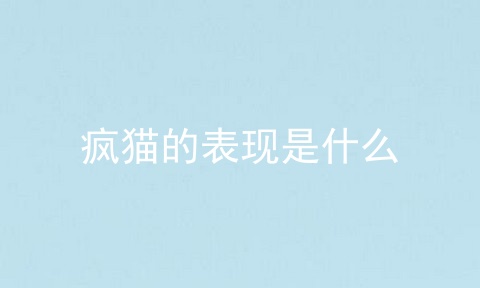 疯猫的表现是什么