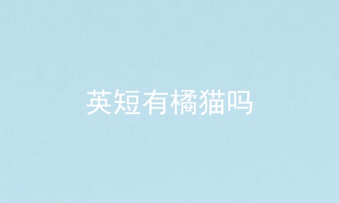 英短有橘猫吗