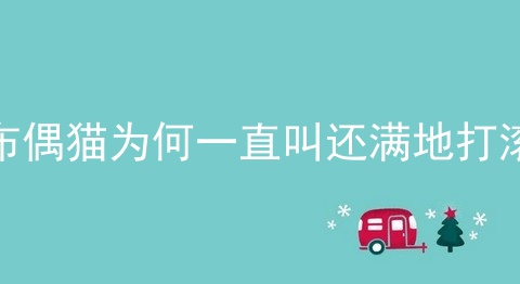 布偶猫为何一直叫还满地打滚