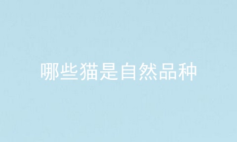 哪些猫是自然品种