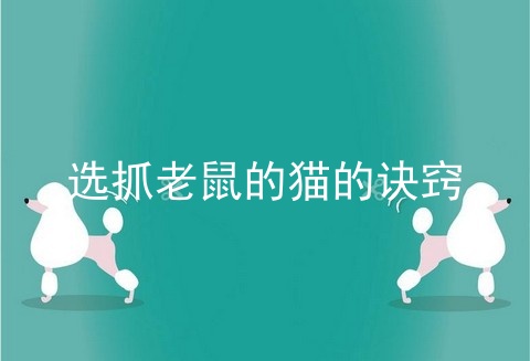 选抓老鼠的猫的诀窍