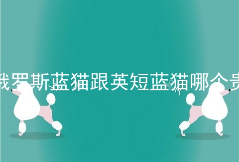 俄罗斯蓝猫跟<a href=/cat/13.html target=_blank class=infotextkey>英短</a>蓝猫哪个贵