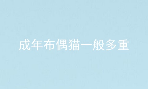 成年布偶猫一般多重