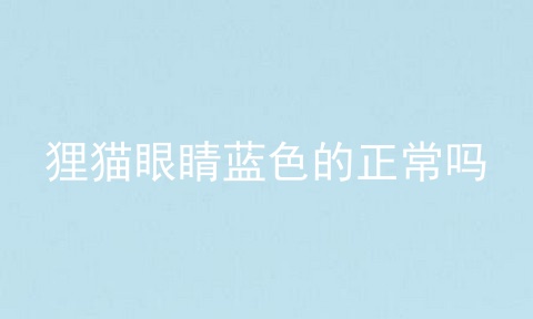 狸猫眼睛蓝色的正常吗