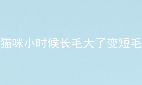 猫咪小时候长毛大了变短毛