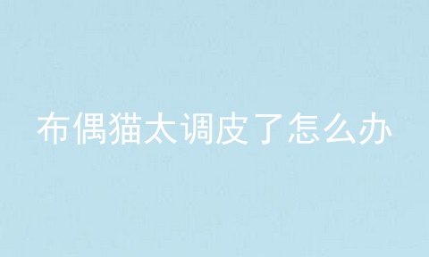 布偶猫太调皮了怎么办