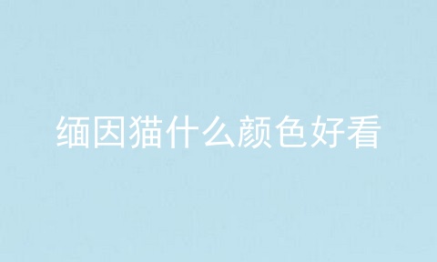 缅因猫什么颜色好看