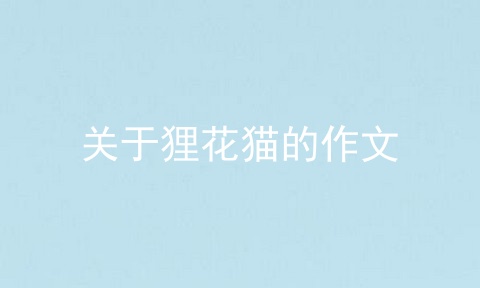关于狸花猫的作文