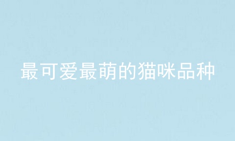 最可爱最萌的猫咪品种