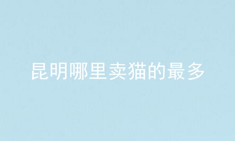 昆明哪里卖猫的最多