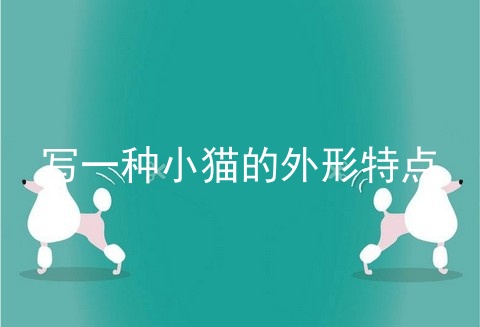 写一种小猫的外形特点