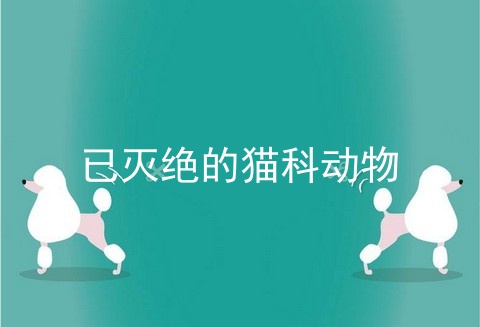 已灭绝的猫科动物