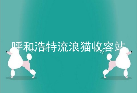 呼和浩特流浪猫收容站