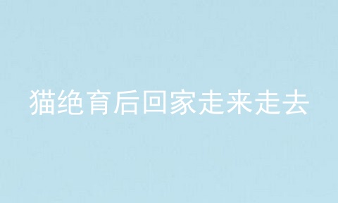 猫绝育后回家走来走去