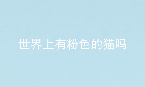 世界上有粉色的猫吗