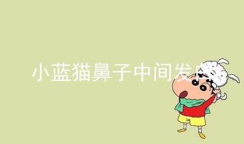 小蓝猫鼻子中间发白