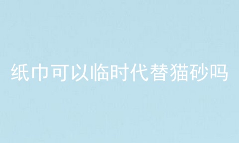 纸巾可以临时代替猫砂吗