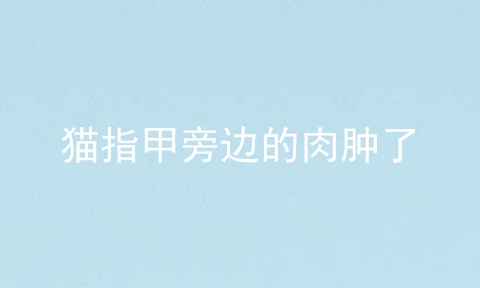 猫指甲旁边的肉肿了
