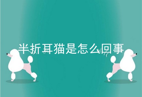 半折耳猫是怎么回事