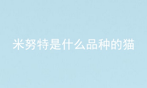 米努特是什么品种的猫