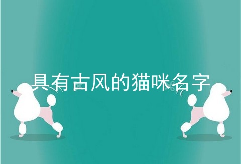 具有古风的猫咪名字