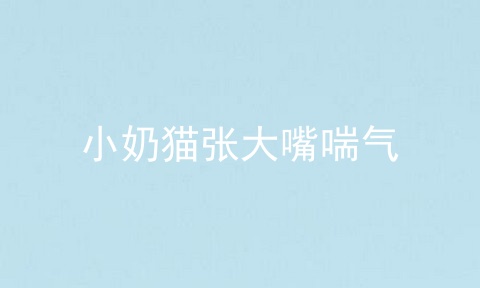 小奶猫张大嘴喘气